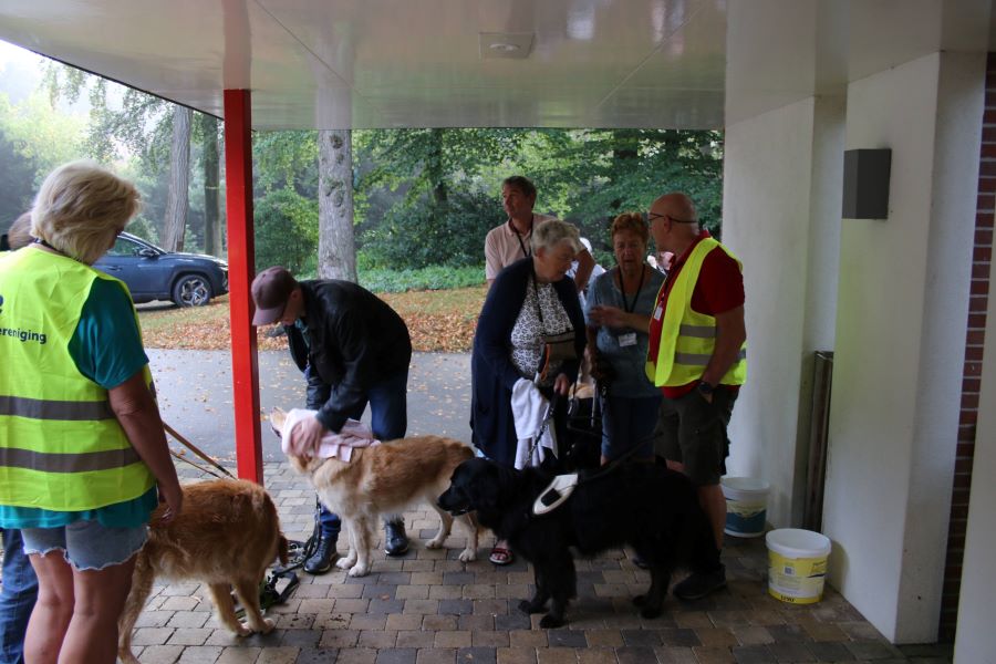 Deelnemers en vrijwilligers buiten met de honden