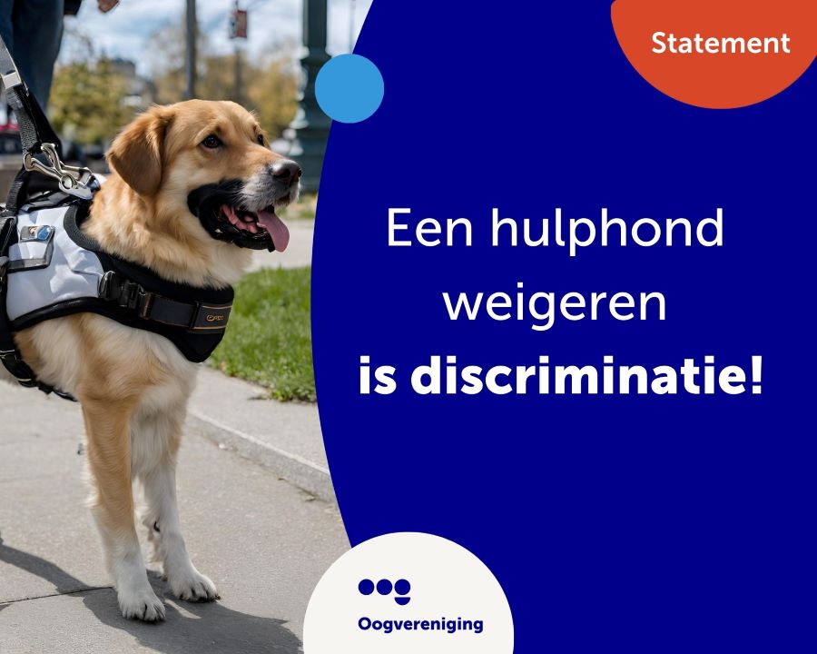 Een foto van een hulphond, met de tekst: Statement. Een hulphond weigeren is discriminatie